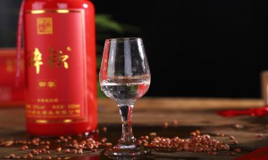 中国酱香白酒品牌top200（中国酱香型白酒品牌）