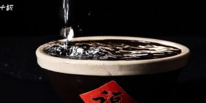 五粮液15酱口感怎么样？好不好喝